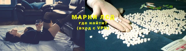 крисы Армянск