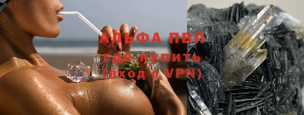 крисы Армянск