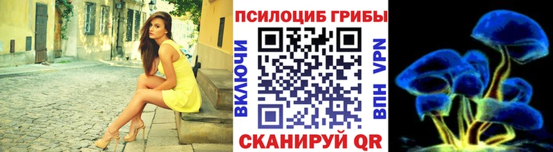 купить наркоту  hydra как зайти  Галлюциногенные грибы MAGIC MUSHROOMS  Балашиха 