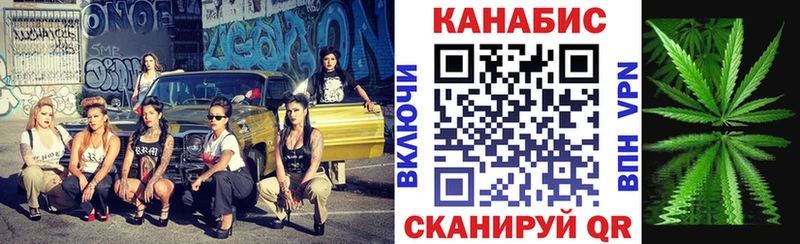 Бошки Шишки планчик Балашиха